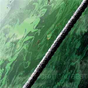 Critical Best - WOLVODS download flac mp3