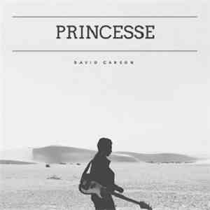 David Carson  - Princesse download flac mp3