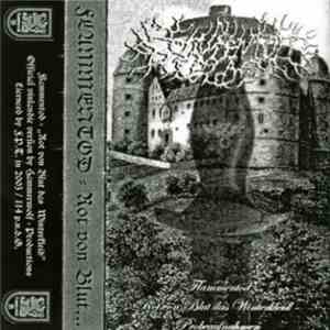 Flammentod - Rot Von Blut Das Winterkleid download flac mp3