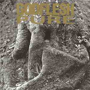 Godflesh - Pure download flac mp3