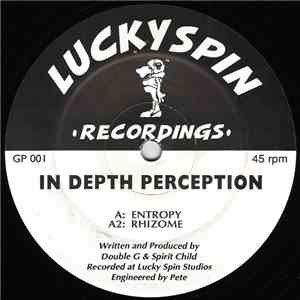 In Depth Perception - Entropy / Rhizome download flac mp3