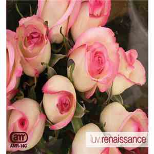 luv.renaissance - One Chance Luv download flac mp3
