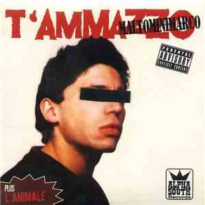 Maltominimarco - T'Ammazzo download flac mp3