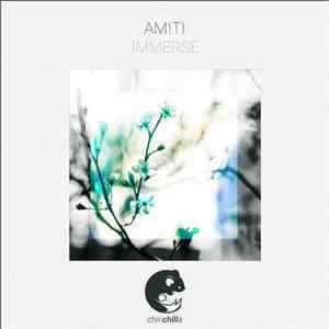 Amiti - Immerse download flac mp3