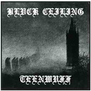 Blvck Ceiling - Teenwvff Redux download flac mp3