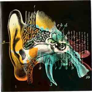 Liquorice - Listening Cap download flac mp3