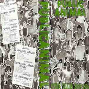 Public Animal - Punk Years 2005-2015 download flac mp3