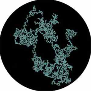 Soft Encounters - Professional Seaman flac mp3 download