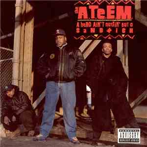 The A.T.E.E.M. - A Hero Ain't Nuttin' But A Sandwich download flac mp3