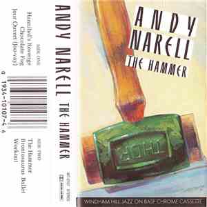 Andy Narell - The Hammer download flac mp3
