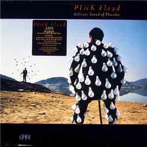 Pink Floyd - Delicate Sound Of Thunder download flac mp3