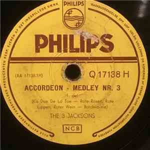 The 3 Jacksons - Accordeon-Medley Nr. 3 download flac mp3