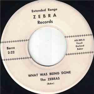 The Zebras  - What Was Being Done download flac mp3