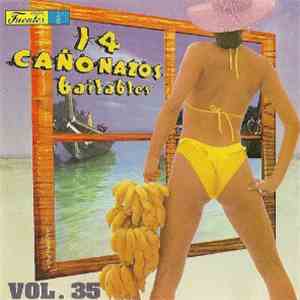 Various - 14 Cañonazos Bailables Vol. 35 download flac mp3