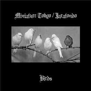 Miniature Tokyo / Jaratondo - Birds download flac mp3