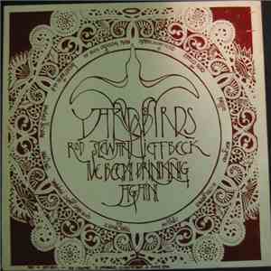 Yardbirds - I've Been Drinking Again download flac mp3