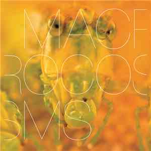 Banabila & Machinefabriek - Macrocosms download flac mp3