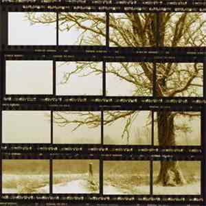 David Ari Leon - The Piano Tribute To Neil Young download flac mp3