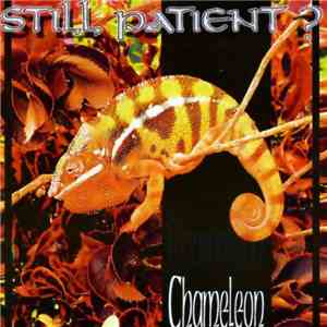 Still Patient? - Chameleon download flac mp3