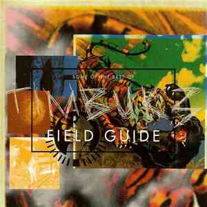 Timbuk 3 - Some Of The Best Of Timbuk 3 / Field Guide download flac mp3