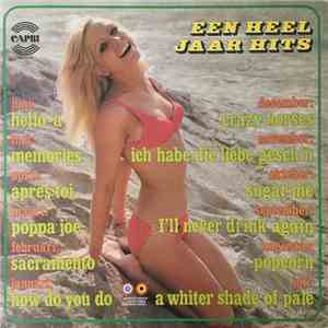 Various - Een Heel Jaar Hits download flac mp3