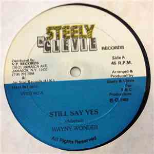 Wayne Wonder - Still Say Yes download flac mp3