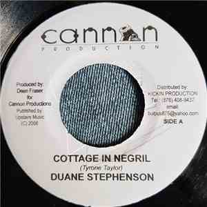 Duane Stephenson - Cottage In Negril / Without You download flac mp3