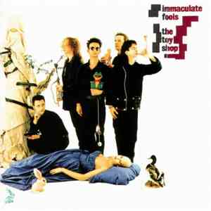 Immaculate Fools - The Toy Shop download flac mp3