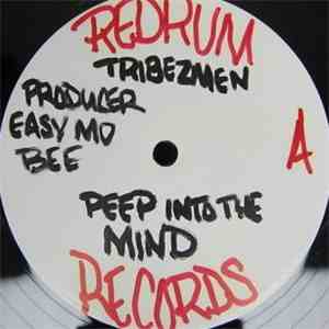 Tha Tribezmen - Who Got The Vibes / Peep Into The Mind download flac mp3