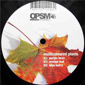 Gennaro Rossi - Multicoloured Plants download flac mp3