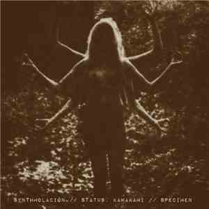 Synthmolación / Status: Kawakami / SpecImEn  - Synthmolación / Status: Kawakami / SpecImEn download flac mp3