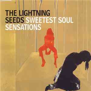 The Lightning Seeds - Sweetest Soul Sensations download flac mp3