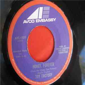 Toy Factory  - What Is A Youth download flac mp3