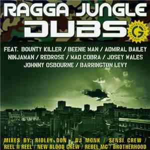 Various - Ragga Jungle Dubs download flac mp3