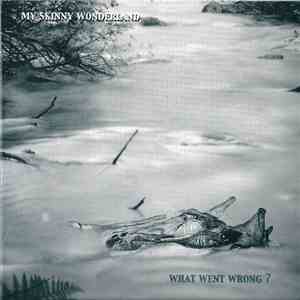 My Skinny Wonderland - What Went Wrong ? download flac mp3