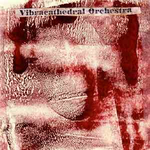 Vibracathedral Orchestra - Hollin download flac mp3