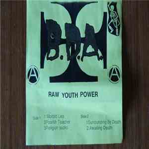 Bad Dreams Always - Raw Youth Power download flac mp3