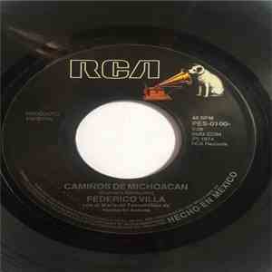 Federico Villa  - Los Caminos De Michoacan download flac mp3