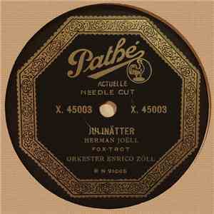 Orkester Enrico Zöll - Julinätter / Månsken download flac mp3