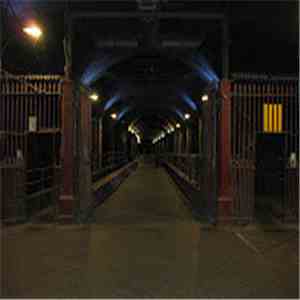 Seth Cooke - The Darkness And The Light download flac mp3