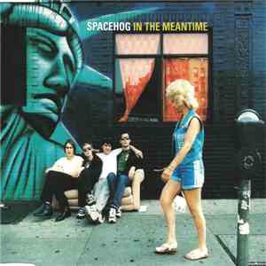 Spacehog - In The Meantime download flac mp3