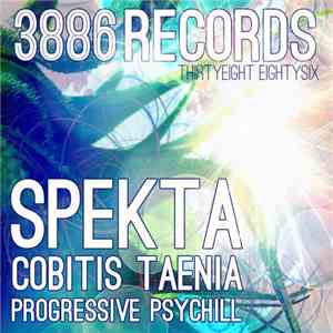 Spekta - Cobitis Taenia download flac mp3