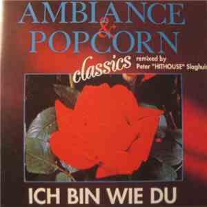 Starmix - Ich Bin Wie Du download flac mp3