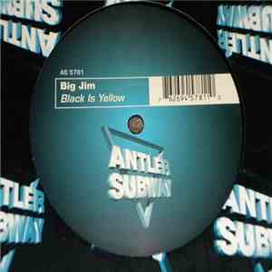 Big Jim  - Black Is Yellow download flac mp3