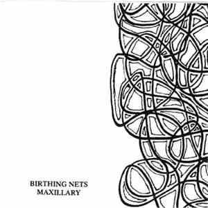 Birthing Nets - Maxillary download flac mp3