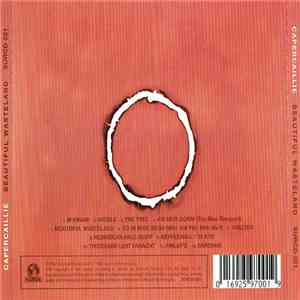 Capercaillie - Beautiful Wasteland download flac mp3