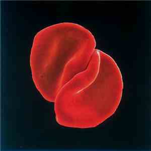 Peter Gabriel - Scratch My Back download flac mp3
