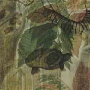 Thoughts On Air - Saffron Bay download flac mp3