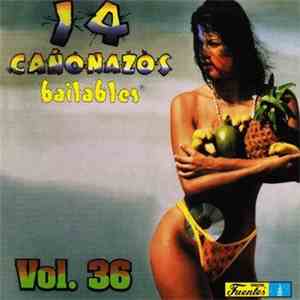 Various - 14 Cañonazos Bailables Vol. 36 download flac mp3
