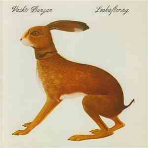 Vashti Bunyan - Lookaftering download flac mp3
